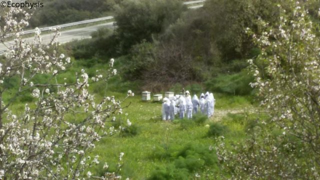 School beekeeping excursion