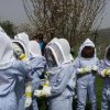 School beekeeping excursion