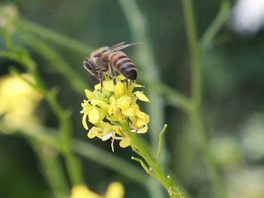 img_2543_cropped
