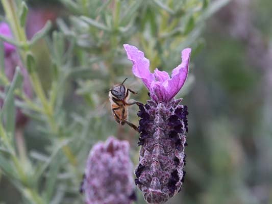 img_2671_cropped