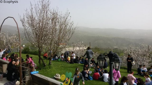 School beekeeping excursion