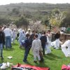 School beekeeping excursion